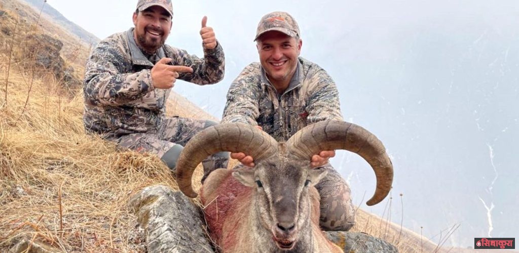 ढोरपाटनमा दोस्रो सिकार याम : १४ नाउर र १० झारलको सिकार चल्दै