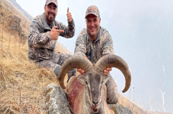 ढोरपाटनमा दोस्रो सिकार याम : १४ नाउर र १० झारलको सिकार चल्दै